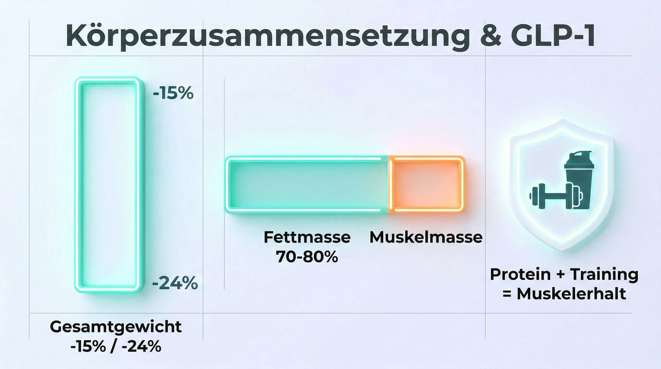 Infografik Körperzusammensetzung und GLP-1: Fettmasse, Muskelmasse und Muskelerhalt