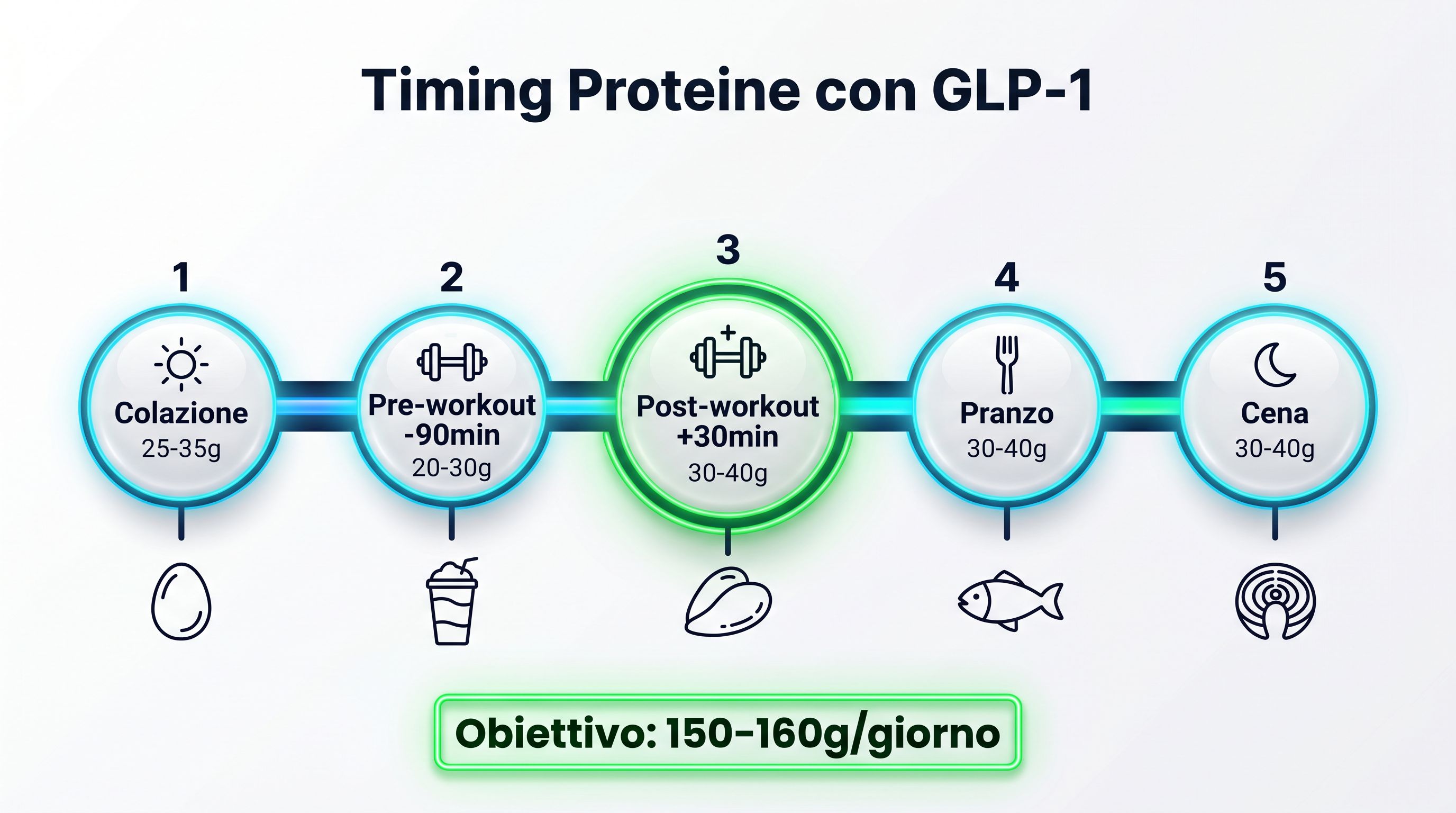 Timing di assunzione delle proteine durante la giornata per un ricercatore in protocollo GLP-1 con allenamento